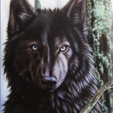 Схема вышивки «Серия "Волки"»