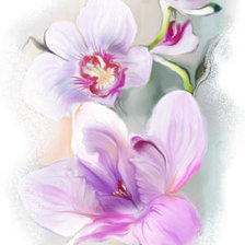 Оригинал схемы вышивки «орхидея» (№48630)