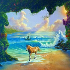 Лошадь на побережье
