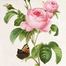 Оригинал схемы вышивки «Розы и бабочка» (№56995)