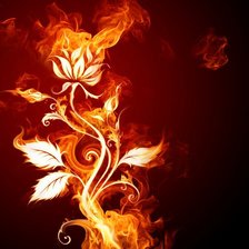 Схема вышивки «огненый цветок»