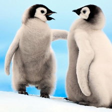 Схема вышивки «Пингвинята)»