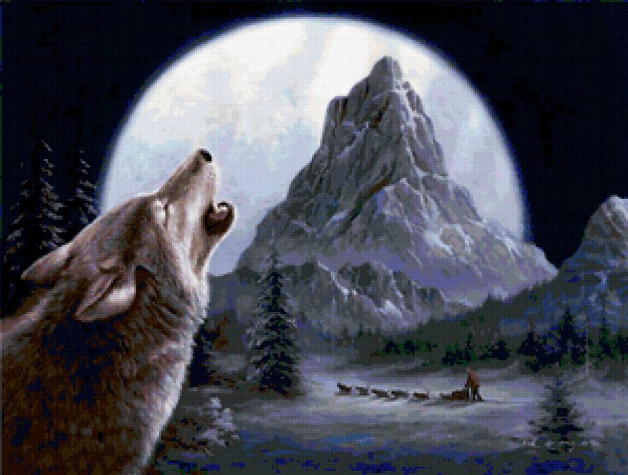 волк - животные, волки, хищники, зима, природа - предпросмотр