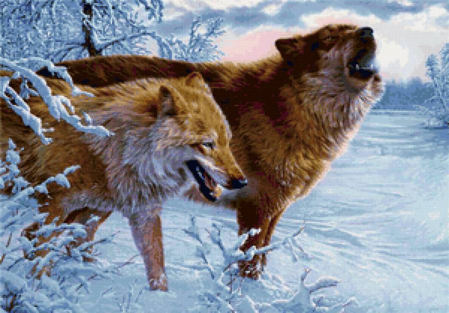 волки - животные, хищники, природа, зима, волк - предпросмотр
