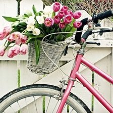 Схема вышивки «cvety na velosipede»