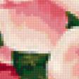 Предпросмотр схемы вышивки «розы» (№60002)