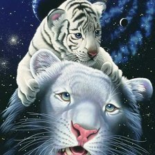 Оригинал схемы вышивки «Белые тигры» (№70163)