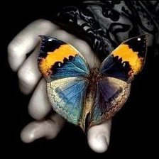 Схема вышивки «бабочка на руке»