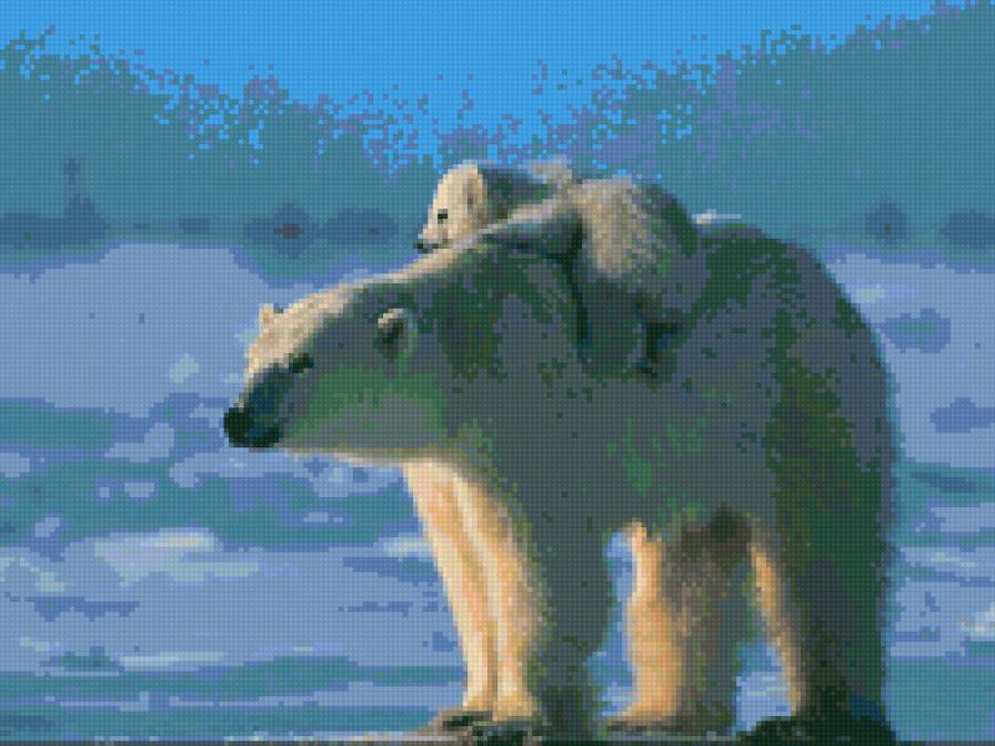 белые медведи - животные - предпросмотр