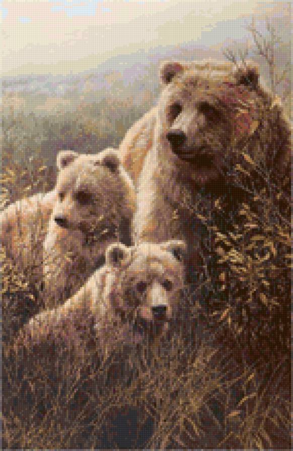 три медведя - хищник, медведь, животные, мама, медвежонок - предпросмотр