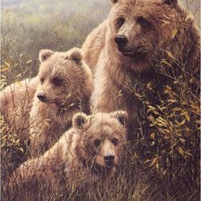 Оригинал схемы вышивки «три медведя» (№70626)