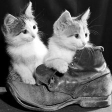 Оригинал схемы вышивки «котята в ботинке» (№71074)