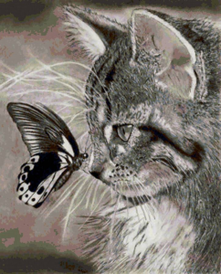 №73722 - картина, животные, бабочки, кошки - предпросмотр