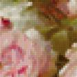 Предпросмотр схемы вышивки «Розовые розы» (№74914)