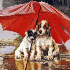 Схема вышивки «Собаки под зонтом.»
