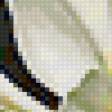 Предпросмотр схемы вышивки «белые лилии» (№78525)