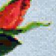 Предпросмотр схемы вышивки «розы» (№78829)