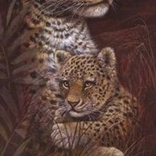 Схема вышивки «леопарды»
