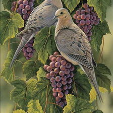 Схема вышивки «голуби на винограде»