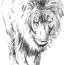 Оригинал схемы вышивки «Лев» (№81915)