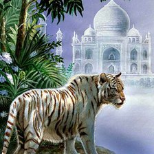 Оригинал схемы вышивки «Бенгальский тигр» (№83862)
