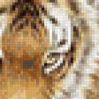 Предпросмотр схемы вышивки «Тигр» (№84874)