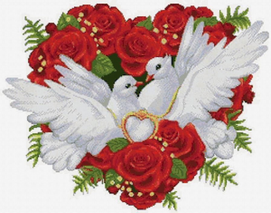 любовь и голуби - свадьба, птицы, любовь, голуби - предпросмотр