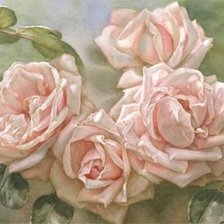 Оригинал схемы вышивки «розовые розы» (№92461)