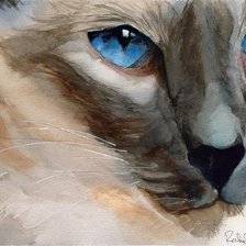 Оригинал схемы вышивки «Кот с голубыми глазами» (№93824)