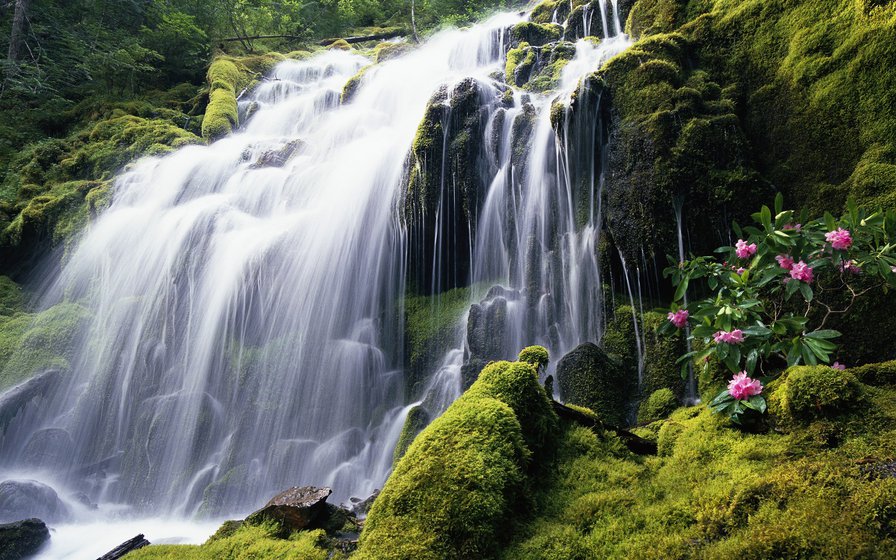 Водопад - природа, водопад, пейзаж - оригинал