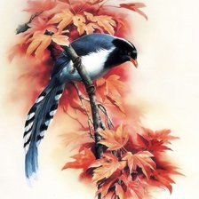 Схема вышивки «"Птицы"  Зенг Ксиао Лиан»