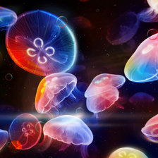 Схема вышивки «медузы»