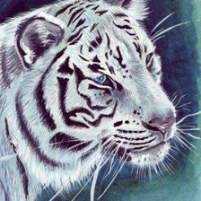 Схема вышивки «Белый тигр»
