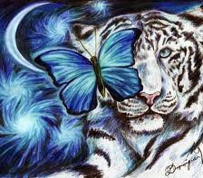 Тигр и бабочка