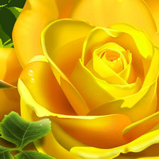 Оригинал схемы вышивки «Желтая роза» (№98049)