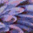 Предпросмотр схемы вышивки «Хризантемы» (№104199)