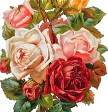 Оригинал схемы вышивки «Розы» (№104868)