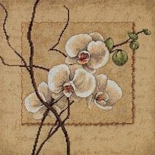 Оригинал схемы вышивки «Орхидеи» (№106195)