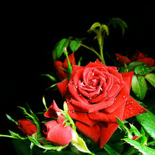 Схема вышивки «Красная Роза»