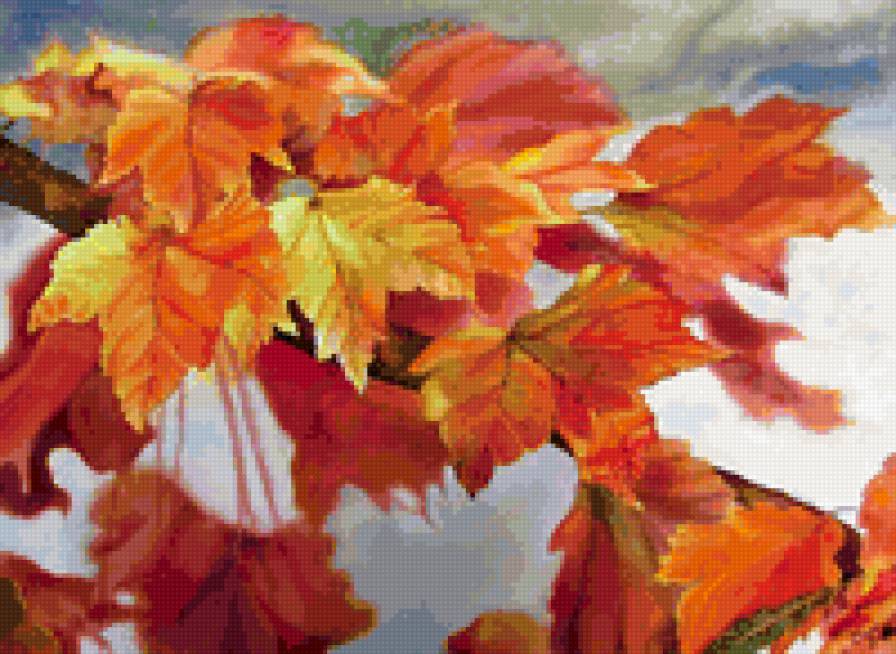 Осенние листья - листья, осень - предпросмотр