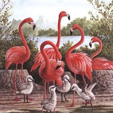 Схема вышивки «фламинго и птенцы»