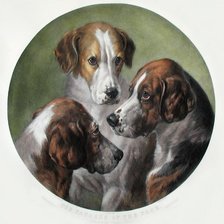 Оригинал схемы вышивки «собаки» (№110524)