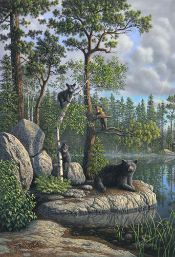медведи 2\3 - река, сосны, пейзаж, медведи, вода, природа, камни, медвежата - оригинал