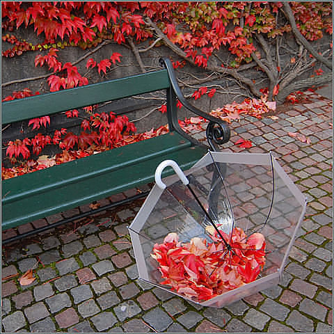 Осень - осень, зонт, листья, скамейка - оригинал