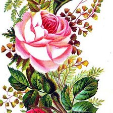 Букет с розами