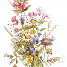Схема вышивки «букет полевых цветов с бабочкой»