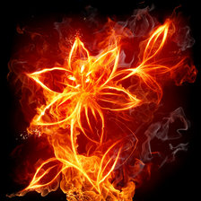Оригинал схемы вышивки «Огненный цветок» (№116554)