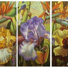 Схема вышивки «триптих цветы общ. вид»