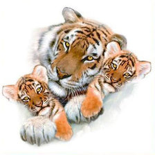 Оригинал схемы вышивки «тигры» (№126605)