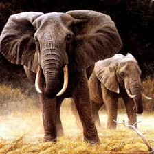 Схема вышивки «Африканские слоны»